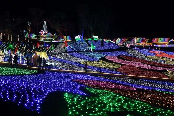 【神奈川県内・町田発】 約300万球の光と音楽の世界「東京ドイツ村イルミネーション」 ~日本一の店舗数「全330店舗」三井アウトレットパーク木更津~2